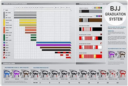 FWJZDSP Metallschild „Jiu-Jitsu Wissen, Vintage-Wanddekoration, Bjj-Abschlusssystem, Blechposter, Club-Dekoration, Fitnessstudio, Zuhause, Zimmer, Plakette, 30,5 x 40,6 cm