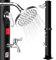 Douche Solaire Exterieure 60L avec Pommeau de Douche Rotatif, Douche à Pied et Thermomètre intégré, Douche de Jardin Piscine sans Raccordement électrique, 60°C Max, Noir