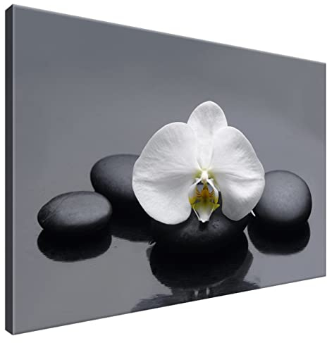 Estika Leinwand bilder - Weiße Orchidee - 90x60 cm, 1 teilige kunstdruck - Wandbilder wohnzimmer, schlafzimmer, Moderne wanddeko, Bild auf leinwand - SPA bilder - 1712A_1L