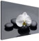 Estika Leinwand bilder - Weiße Orchidee - 90x60 cm, 1 teilige kunstdruck - Wandbilder wohnzimmer, schlafzimmer, Moderne wanddeko, Bild auf leinwand - SPA bilder - 1712A_1L