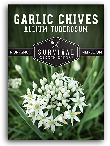 Survival Garden Seeds 1 Pack Garlic Chives Seed for Planting - Packet with Instructions to Grow Delicious Perennial Herbs in Your Home Vegetable Garden - Non-GMO Heirloom