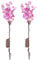 MAGICLULU Zweige Lichter Phalaenopsis Orchidee Batterie Dekorative Baum Lampe für Home Party 2 Stück