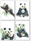 Pandawal Panda Poster 4er Set Bilder für Kinder schöne Kinderzimmer Deko Mädchen und Junge Kinderposter/Babybilder DIN A4 (T16)