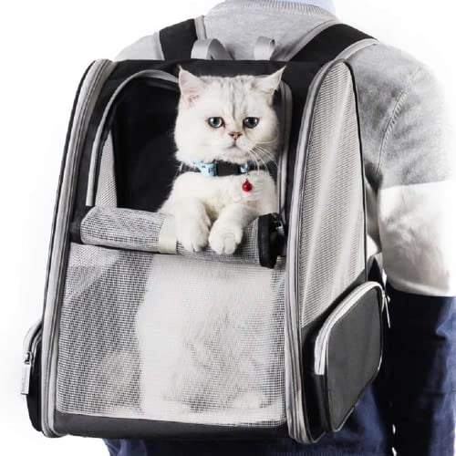 Sac de Transport pour Chats Petits Chiens 7.5kg, Sac à Dos en Filet Respirant pour Petit Animaux, Pliable Spacieux avec Matelas en Peluche Amovible, Panier pour Voyage on Train Voiture Avion (Noir)