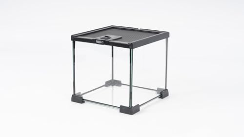 Prorep Mini Terrarium 200 X 200 X 200mm | Spider Tank | Stick Insect Tank | Snail Enclosure | Small Glass Reptile Terrarium | Invertebrates | Amphibians