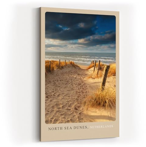 Paul Sinus Kunstdruck 40x60cm North Sea Dunes mit Dünenweg zur See in den Niederlanden