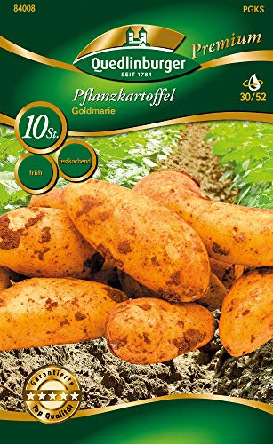 Quedlinburger 84008 Kartoffel Goldmarie (10 Stück) (Pflanzkartoffeln)