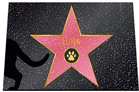 clothinx Katzen Liebhaber | Personalisiert mit dem Namen von Ihrem Haustier | Pfote Walk of Fame | VIP Fußmatte 40 x 60 cm