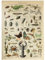 MyPuzzle Gliederfüßer für alle, Vintage Art Poster, Adolphe Millot - Premium 1000 Teile Puzzle - MyPuzzle Sonderkollektion von Havana Puzzle Company