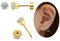 CZ Stud Earrings 14K Gold Stud Earrings,Flat Back Cubic Zirconia Earrings for Helix Cartilage Earlobe Piercing Jewelry | Cartilage Earring | Helix Piercing Jewelry (3MM, GOLD)