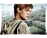 Fashionable Custom Thomas Brodie Sangster Zippered Pillow case?Kissenbezüge?s 20x 30(Twin sides)
