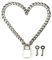 Succuba Padlock Necklace Chain Collar Choker with Two Keys and Box for Women, Men and Pet, Metal, not known
