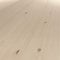 Littlefair's Wood Floor Stain Water Based - 15ml Tester Pot - Indoor Floor Wood Dye - Light & Dark Finishes - Non Toxic & Eco Friendly Formula - Colour: Seawashed White
