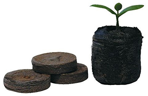 Jiffy 38mm Peat Plug (Box of 1000)