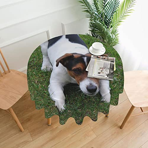Runde Tischdecke, Jack Russell Dog Tischdecke, waschbare Tischdecke für Picknick, Camping, Party, Essen, 152,4 cm