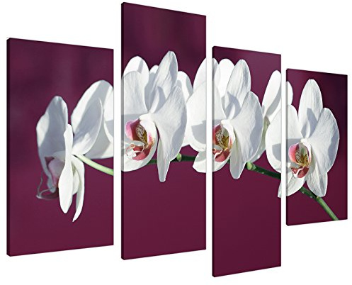 Wallfillers Large Plum White Floral Orchids Canvas Wall Art Prints Pictures 4116
