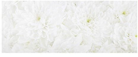 Top Blumen Glasbilder Wandbild Foto Kunstdruck 30 x 80 cm Dahlie Blumenmeer weiß