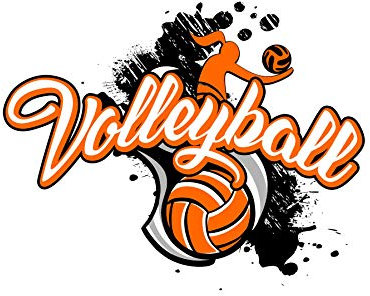 Muralo Vlies Fototapete 104x70,5 Volleyball Aufschrift Dekor Moderne Tapete Wohnzimmer Schlafzimmer Wandbilder Wandtapete Wandtattoo XXL Br. 104 cm x Hö. 70,5 cm