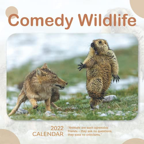 Comedy Wildlife 2022 Calendar: From January 2022 to December 2022 - Square Mini Calendar 8.5x8.5 - Small Gorgeous Non-Glossy Paper