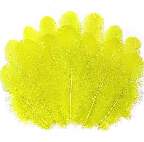 Soarer 300 Stück gelbe Hahnfedern, Großpackung – 7,6–12,7 cm, Bastelfedern für Hochzeit, Zuhause, Party, Traumfängerzubehör und Bastelarbeiten (gelb)