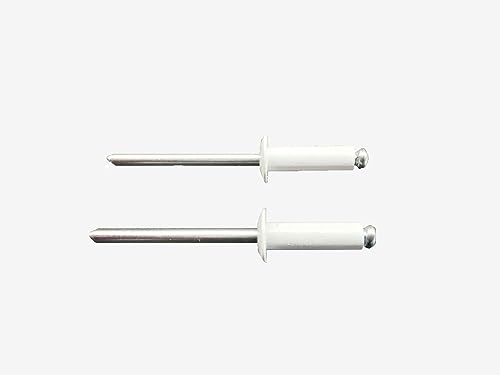 Blindnieten Weiss RAL 9016 Flachkopf Alu/Stahl -100er PACK - von 3,0 bis 4,8 Popnieten (3,0x6mm)