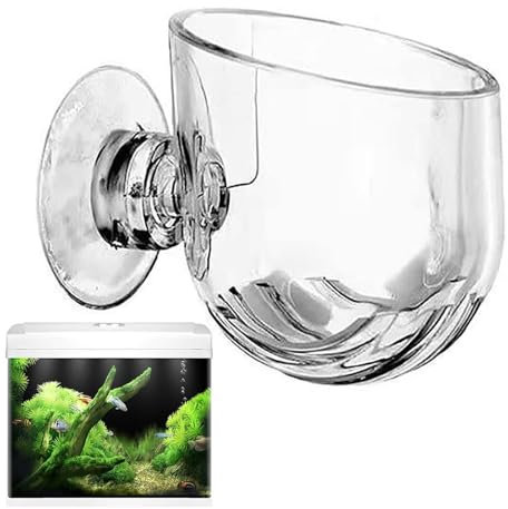 Glas-Pflanztopf mit Saugnäpfen, 3,8 x 4 cm, 10 Stück, mit Saugnapf, Aquarium- -NI-Glasvase für Hydrokultur-Pflanzen für Fische/Garnelenfütterung, Aquarium-Dekoration, oval