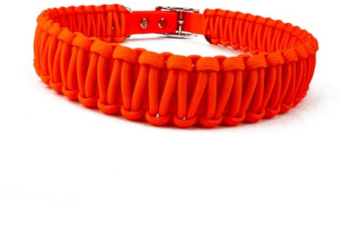 Hundehalsband Lori Tierluxe - Handgemacht, Paracord, Biothane (Orange Neon, L Halsumfang 35-41 cm)
