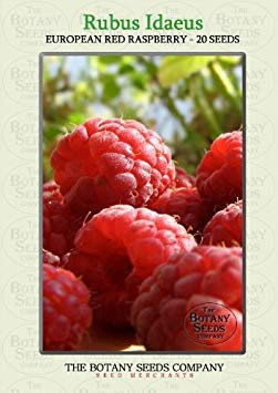 Potseed Europea Rosso Lampone (20) Semi - Rubus idaeus