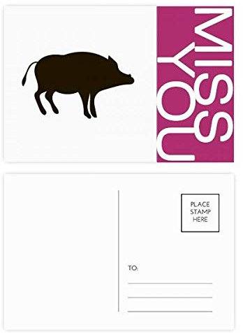 Postkarten-Set mit süßem Wildschwein-Motiv, 20 Stück