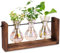 Propagationsstationen Irisierende Anlagen -Propagationsstation, 3PCS -Gradienten -Glühbirnenvase mit Holzständer Tischplatten -Terrarium für Hydroponics Home Office Gartendekoration
