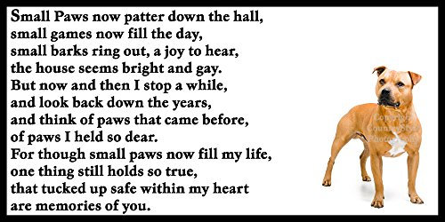 Staffordshire Bull Terrier Staffy Bereavement pet Dog Loss Memorial Flexible Fridge Magnet - Small Paws