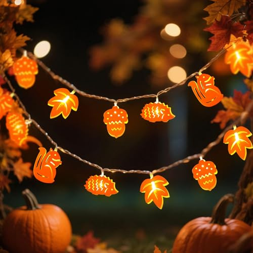 Herbstdeko Lichterkette, 3Meter 20 LED Herbst Dekoration Lichterkette mit Ahornblätter Igel Eichel Eichhörnchen, Batterie mit 6h Timer, Herbst Deko Lichterketten für Herbstdeko Innen Außen Deko (B)