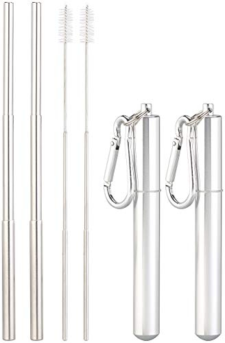 Rosenstein & Söhne ausziehbarer Strohhalm: 2er-Set Teleskop-Edelstahl-Trinkhalme mit Bürste, Schlüsselanhängerbox (Teleskop Strohhalm, Metalltrinkhalme, Sclüsselanhänger)
