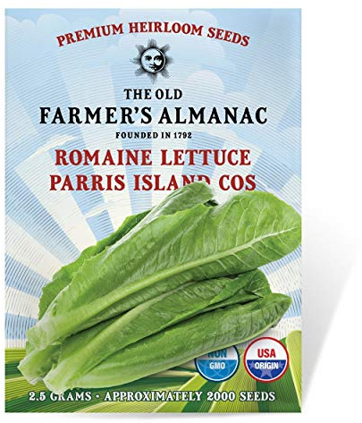 The Old Farmer's Almanac Heirloom Romaine Lettuce Seeds (Parris Island Cos) - Approx 1800 Seeds - Non-GMO, Open Pollinated, USA Origin