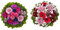 Dominik Blumen und Pflanzen, Blumenstrauß Magic mit Rosen, Gerbera, Anemonen, Nelken und Ranunkeln &, Blumenstrauß Charlotte mit rosa Lilien, Chrysantheme, Gerbera und Schleierkraut
