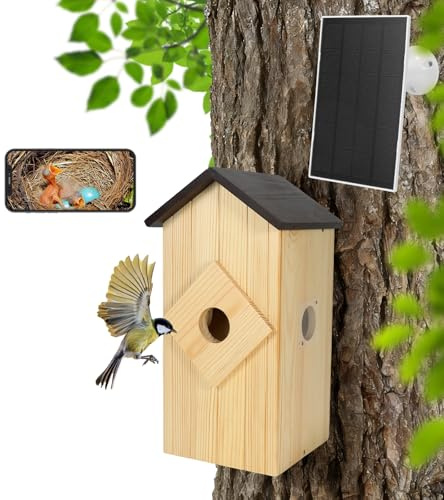 Intoo Lifes Vogelhaus mit Kamera, solarbetrieben, Vogelhaus-Kamera zum Aufhängen im Freien, Holz: 2,5 K HD, kabellose Vogelhaus-Kamera für den Außenbereich, dekorative Box, Geschenk für Bluebird