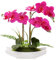Briful Artificial Orchid Flowers Fake Orchid Purple Flowers in Ceramic Pot Silk Phalaenopsis Flower Arrangement Fake Plants Indoor for Home Office Table Centerpieces Room Decor