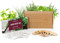 Pack 6x Semillas Plantas Aromáticas y Culinarias - Semillas Orgánicas de España - 6x Marcadores de Bambú - Manual de Plantación Paso a Paso + eBook de Recetas con Hierbas