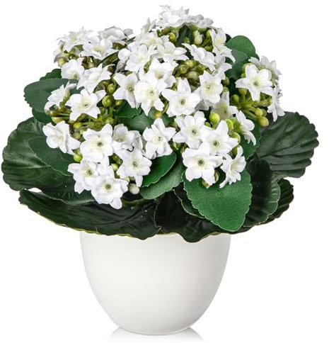 Arborus Kunstblumen im Topf Klein Künstliche Blumen wie echt 21cm Künstliche Kalanchoe Blumen Weiß Blumen Künstliche Pflanzen für Innen Dekoration Büro Küche Haus Zimmer Tisch Deko