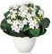 Arborus Kunstblumen im Topf Klein Künstliche Blumen wie echt 21cm Künstliche Kalanchoe Blumen Weiß Blumen Künstliche Pflanzen für Innen Dekoration Büro Küche Haus Zimmer Tisch Deko