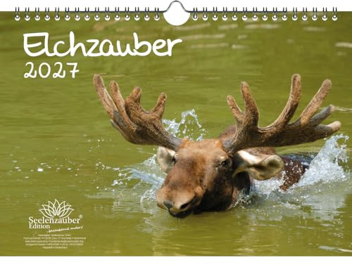 Elchzauber Elche DIN A4 Kalender für 2027 - Seelenzauber