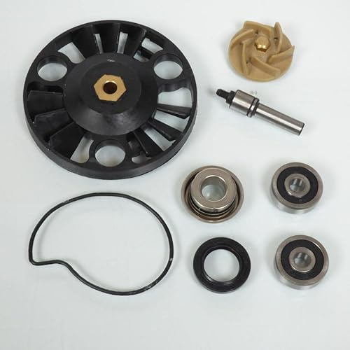 bomba de agua teknix para scooter piaggio 125 x-evo 2007 a 2016 nuevo