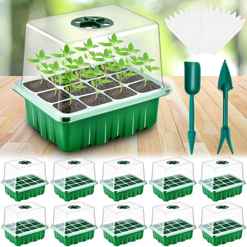 DazSpirit 10 pezzi Mini Serra Germinazione, Vassoi per Semi 120 Celle con Coperchi, Germinatore per Semi con 20 Etichette e 2 Strumenti, Mini Serra per Coltivazione di Piantine, Serra e Giardinaggio