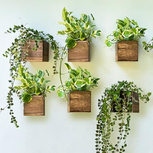 LaLaGreen Wood Planter Box for Plants (6 Pack, 4x4 Inch) Small Square Wooden Wall Planters for Indoor Plant, Hanging Window Flower Boxes Herb Planter Table Centerpiece Modern Home Garden Office Decor