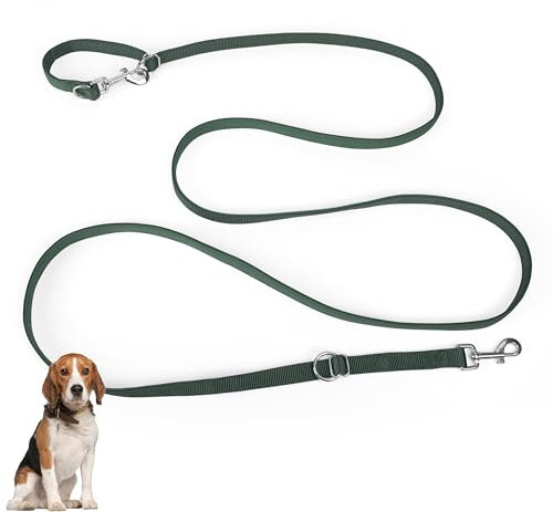PETCOOZ Hundeleine 3 m Verstellbare Schleppleine mit 2 Karabiner, Verdickte Doppelleine Führleine für Kleine Mittelgroße Hunde, Freihandleinen Übungsleine aus Nylon, Dunkelgrün
