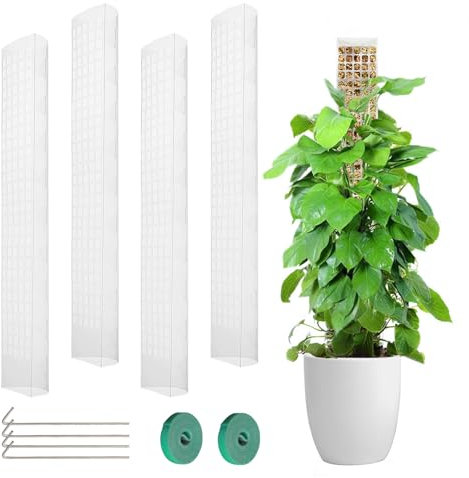 Joron 4 Stück 61 cm Moosstab für Monstera, Rankhilfe Monstera Zimmerpflanzen Moss Stick Transparente pflanzstab Erweiterbare Coir Pole für Kletterpflanzen