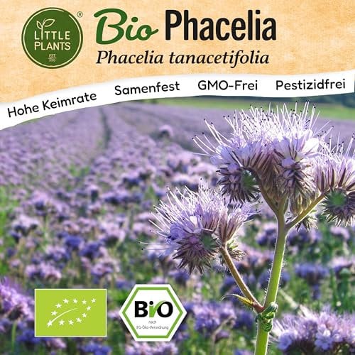 Little Plants BIO Phacelia Samen 3000 Phaceliasamen Blumensamen für Blumenkübel Bienenfreund Samenfest Blumen Samen für Balkon und Garten