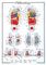 Educational - Bildung Fussreflexzonen - Reflexology Bildungsposter Plakat Druck - Version in Englisch - Grösse 68x98 cm