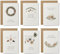 emotioncards - (6 Stück) Weihnachtskarten-Set - schlicht und klassisch - inkl. Umschlag - Aquarell - Premiumkarton mit angenehmer Haptik und schön zu beschriften (115 mm x 170 mm)
