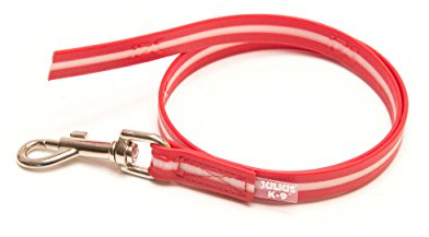 Julius-K9, 216IDC-L-R-1, IDC Lumino Leine phosphoreszierend, 19mm*1 m, ohne Schlaufe, Rot